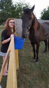 Horse Adopted - Elvis