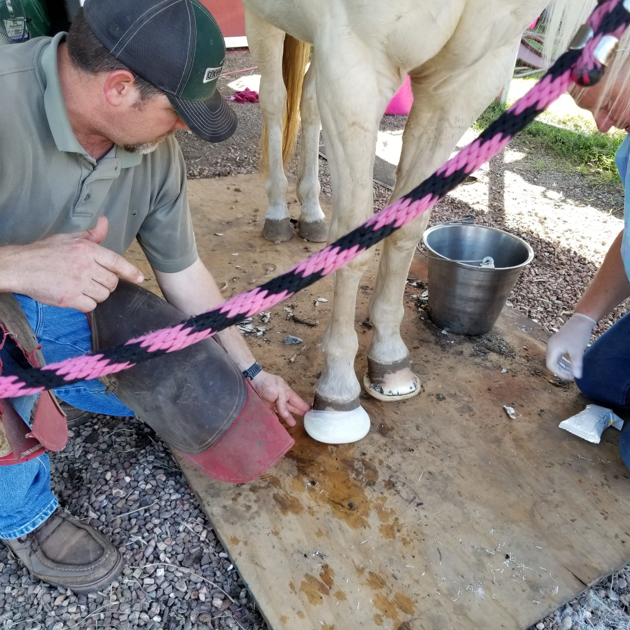 Reversing Laminitis Damage with Wood Clogs Swingin D Horse Rescue