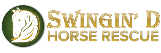 Swingin D Horse Rescue Home Page