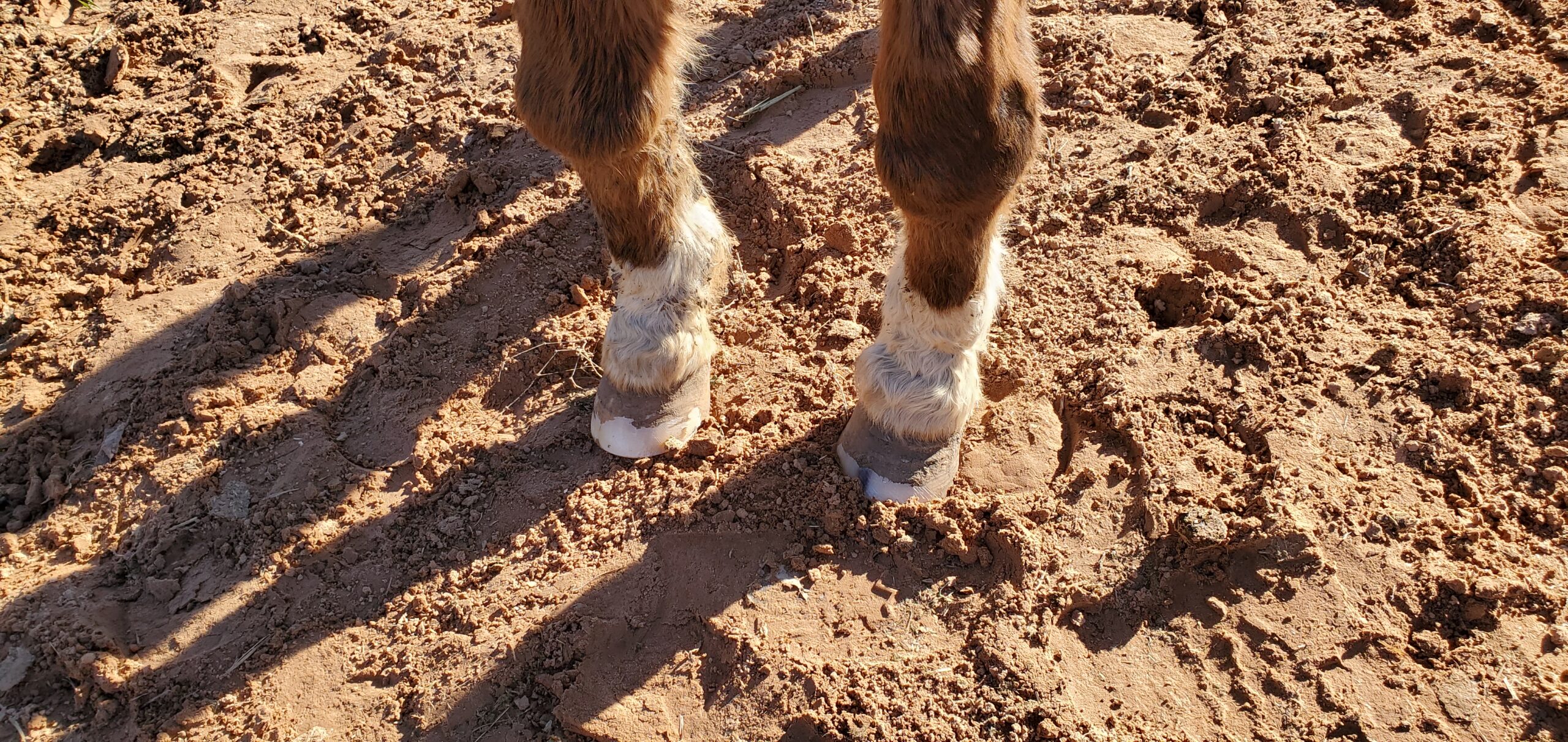 ""