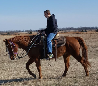 Harry was healthy enough to ride in January